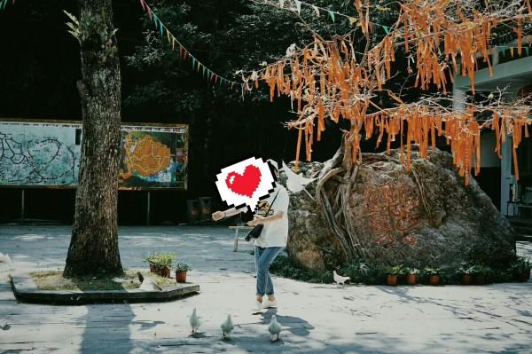 召唤神龙万宁版祖龙