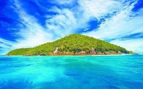 创作猫
